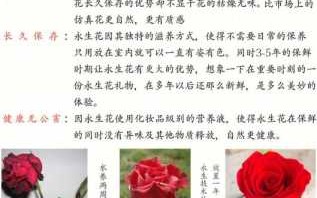 小游戏花园小镇攻略，小游戏花园小镇攻略