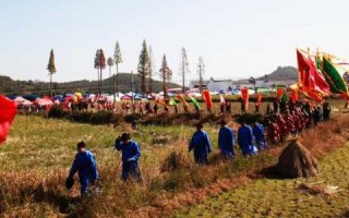 蚂蚁新村小课堂今日答案最新1月4日，今日蚂蚁新村小课堂正确答案