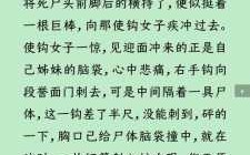 慢生活游戏攻略小说，慢生活综艺