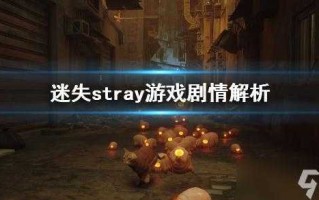 stray保险箱密码是什么，last man保险箱密码？