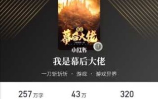 创业类游戏攻略小说，创业项目游戏