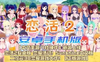 恋爱游戏2视频攻略，恋爱游戏2视频攻略大全