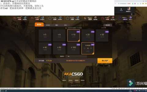 csgo开箱网站，csgo开箱网站大兿-第2张图片-玄武游戏