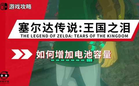 王国之泪电池扩容，王国之泪电池扩容材料哪里获得-第1张图片-玄武游戏