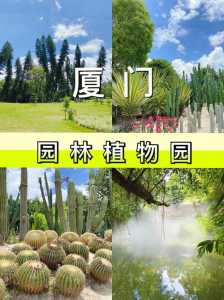 植物园厦门攻略游戏？厦门植物园好玩吗？-第1张图片-玄武游戏