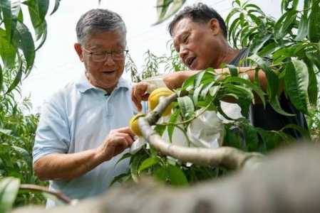 东京放学后游戏攻略，东京放学后下载 安卓-第4张图片-玄武游戏