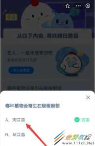 小鸡庄园最新的答案1.23，小鸡庄园最新的答案1232？-第2张图片-玄武游戏