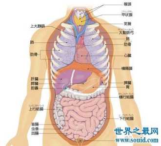 小鸡庄园最新的答案4.19？小鸡庄园最新的答案419版？-第6张图片-玄武游戏