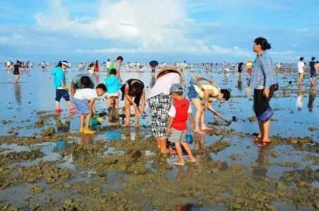 鲅鱼圈赶海攻略游戏？鲅鱼圈赶海时间表2021五一？-第1张图片-玄武游戏