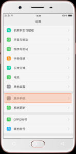 华为手机emui10开发者选项开启/关闭方法，emui10开发者选项在哪里-第4张图片-玄武游戏