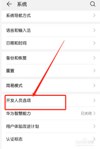 华为手机emui10开发者选项开启/关闭方法，emui10开发者选项在哪里-第5张图片-玄武游戏