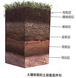 蚂蚁新村今日答案最新1.18？蚂蚁新村今日答案最新123？-第3张图片-玄武游戏