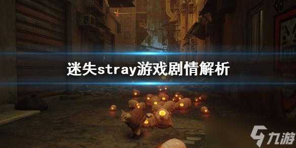 stray保险箱密码是什么，last man保险箱密码？-第2张图片-玄武游戏