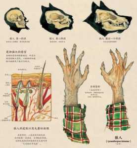 霍格沃茨之遗中养野兽介绍，霍格沃茨之遗产-第4张图片-玄武游戏