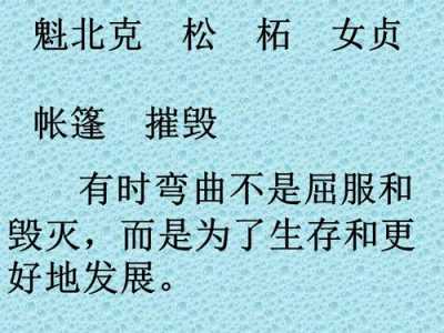 屈服与骄傲游戏攻略？骄傲与屈服 游戏？-第1张图片-玄武游戏