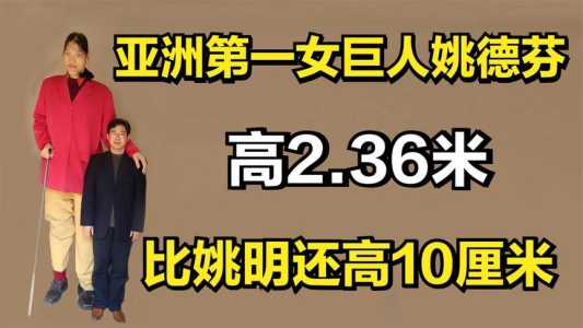 探索女巨人游戏攻略，探索女巨人2-第1张图片-玄武游戏