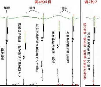 深水钓鲤鱼游戏攻略？深水鲤鱼怎么钓？-第1张图片-玄武游戏