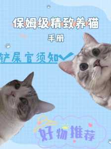 铲屎官日记游戏攻略？铲屎官日记游戏攻略图文？-第5张图片-玄武游戏