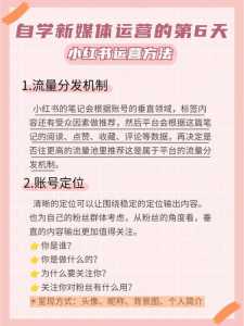 小红书流量攻略游戏？小红书流量软件？-第1张图片-玄武游戏