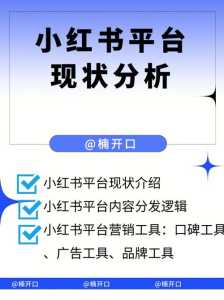 小红书流量攻略游戏？小红书流量软件？-第2张图片-玄武游戏