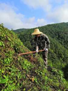 农场割草小游戏攻略？模拟农场割草机？-第3张图片-玄武游戏