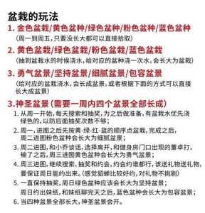 游戏解说寻宝记攻略，我想看寻宝游戏-第3张图片-玄武游戏