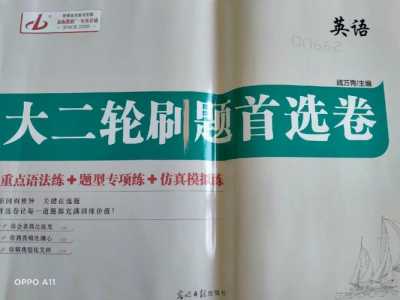 宝可梦合众游戏攻略，精灵宝可梦合众攻略-第2张图片-玄武游戏