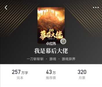 创业类游戏攻略小说，创业项目游戏-第2张图片-玄武游戏