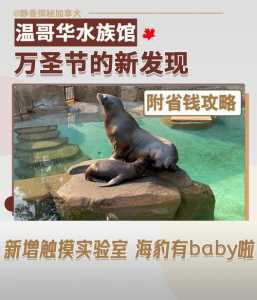 水族馆游戏鱼类攻略，水族馆怎么玩-第3张图片-玄武游戏