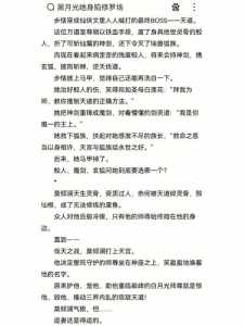 师傅游戏的攻略小说，游戏师傅-第5张图片-玄武游戏