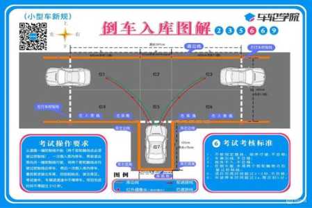 校园版鲤鱼游戏攻略，鲤鱼游戏合集-第4张图片-玄武游戏