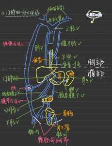 血液回流小游戏攻略，什么叫血液回流-第2张图片-玄武游戏