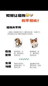 猫和狗双人游戏攻略，猫和狗双人游戏攻略视频-第4张图片-玄武游戏