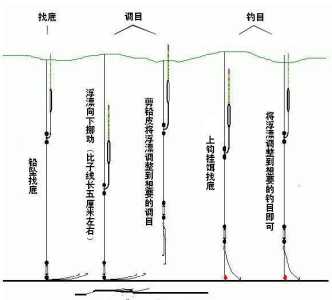 合成鲤鱼小游戏攻略，合成鱼红包游戏-第2张图片-玄武游戏