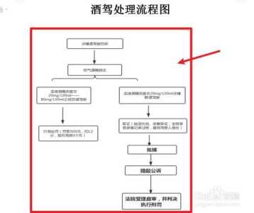 司机与警察游戏攻略，司机和警察是交叉关系吗-第1张图片-玄武游戏