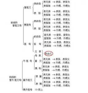 曾祖母孙游戏攻略，曾祖母v10手游版-第3张图片-玄武游戏