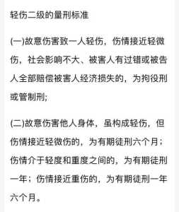 惩罚施暴者游戏攻略，惩罚者 百科-第3张图片-玄武游戏