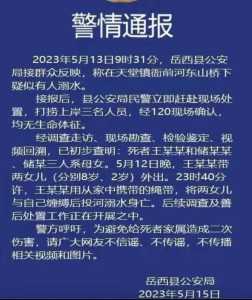 惩罚施暴者游戏攻略，惩罚者 百科-第4张图片-玄武游戏