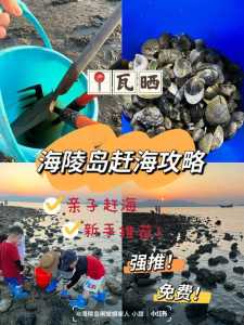 赶海小游戏攻略图文，赶海游戏该怎么玩-第1张图片-玄武游戏