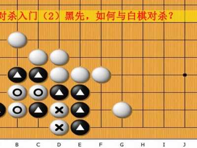 黑棋白棋小游戏攻略，黑棋和白棋在棋盘上下棋的顺序是什么-第4张图片-玄武游戏