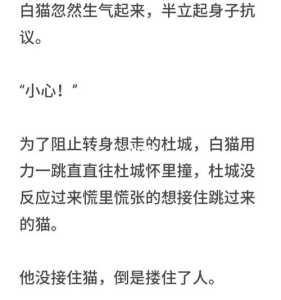 城市里的猫游戏攻略，幼儿故事城市里的猫-第3张图片-玄武游戏