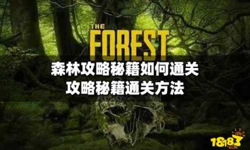 森林办事处游戏攻略，森林全流程攻略-第6张图片-玄武游戏