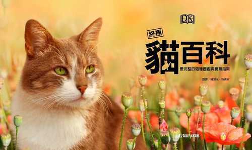 猫咪的经营游戏攻略，关于猫咪的经营游戏-第1张图片-玄武游戏