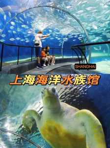 趣味水族馆攻略游戏，趣味水族馆攻略游戏视频-第5张图片-玄武游戏