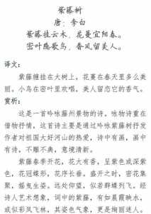 游戏紫藤树视频攻略，紫藤树的隐藏花语-第3张图片-玄武游戏