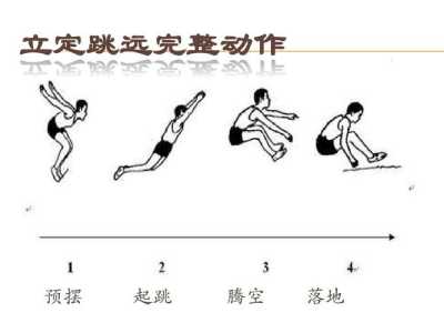 田径3游戏攻略视频，田径3手游-第2张图片-玄武游戏