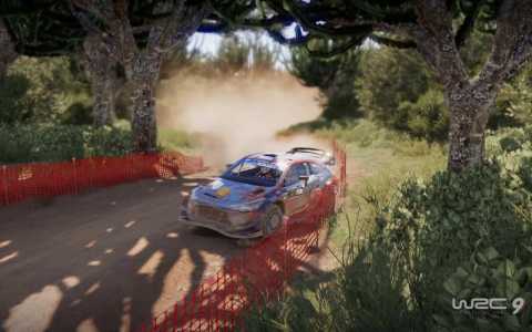 wrc10游戏攻略，wrc10操作-第2张图片-玄武游戏