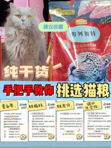 手机小游戏养猫攻略，手机养猫的游戏-第5张图片-玄武游戏