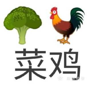 小菜鸡文字游戏攻略，小菜鸡文字游戏攻略大全-第4张图片-玄武游戏